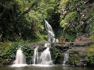 Voyage sur-mesure, Lamington National Park